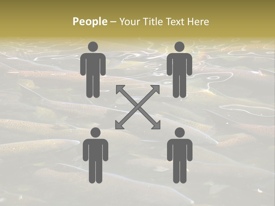 Orange Meal Part PowerPoint Template