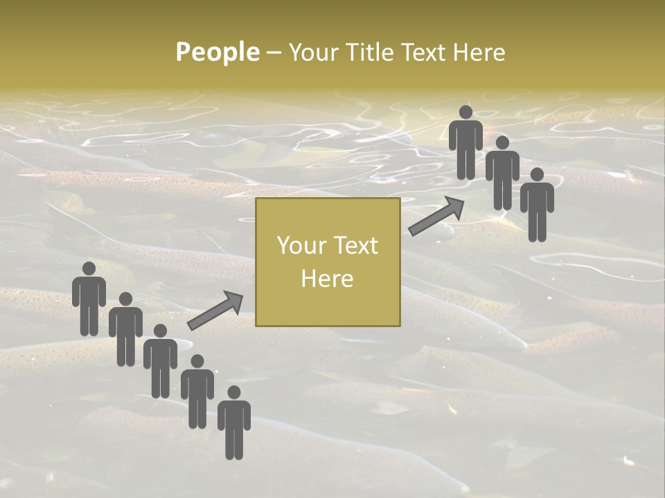 Orange Meal Part PowerPoint Template