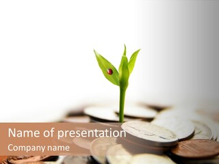 A Plant Sprouting Out Of A Pile Of Coins PowerPoint Template