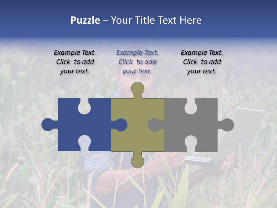 Fly Housefly Illustration PowerPoint Template