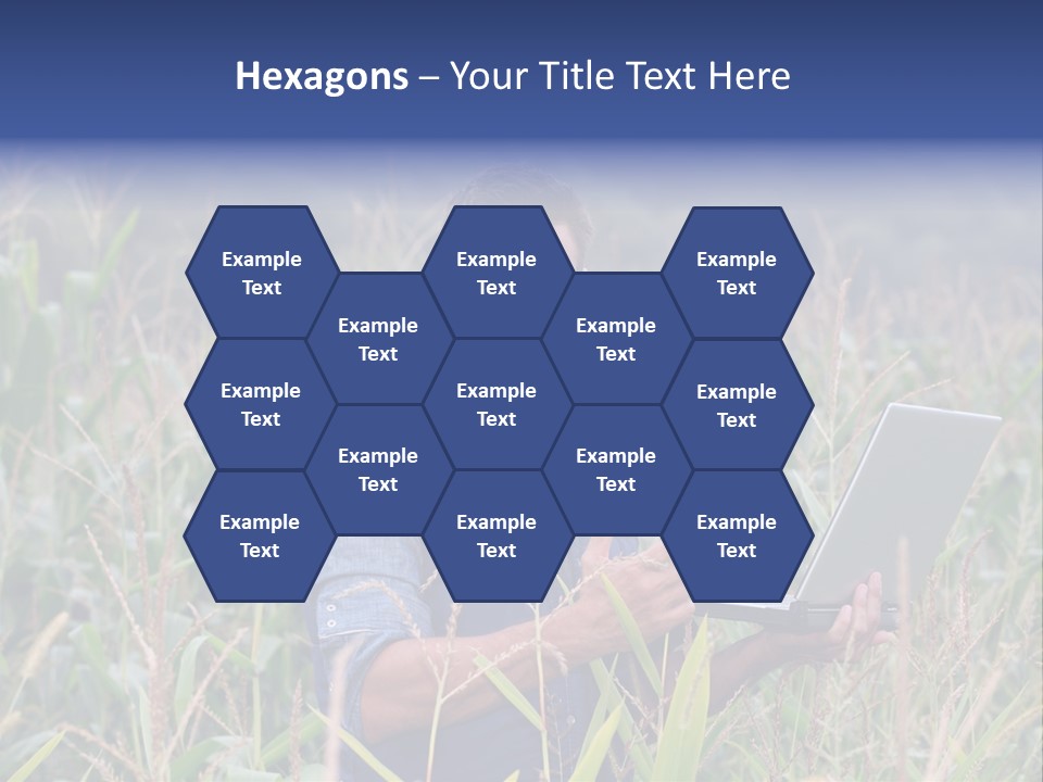 Fly Housefly Illustration PowerPoint Template