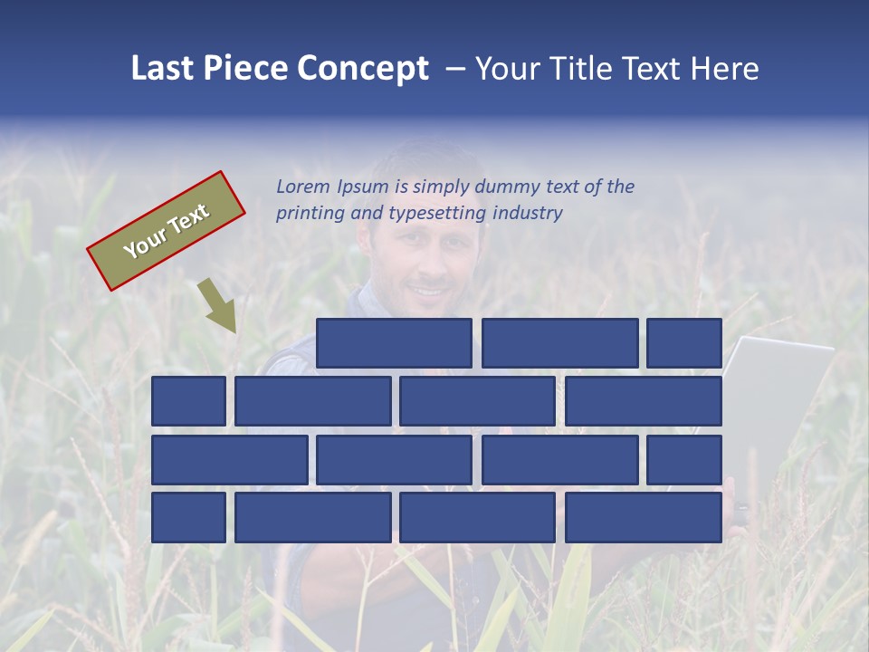 Fly Housefly Illustration PowerPoint Template