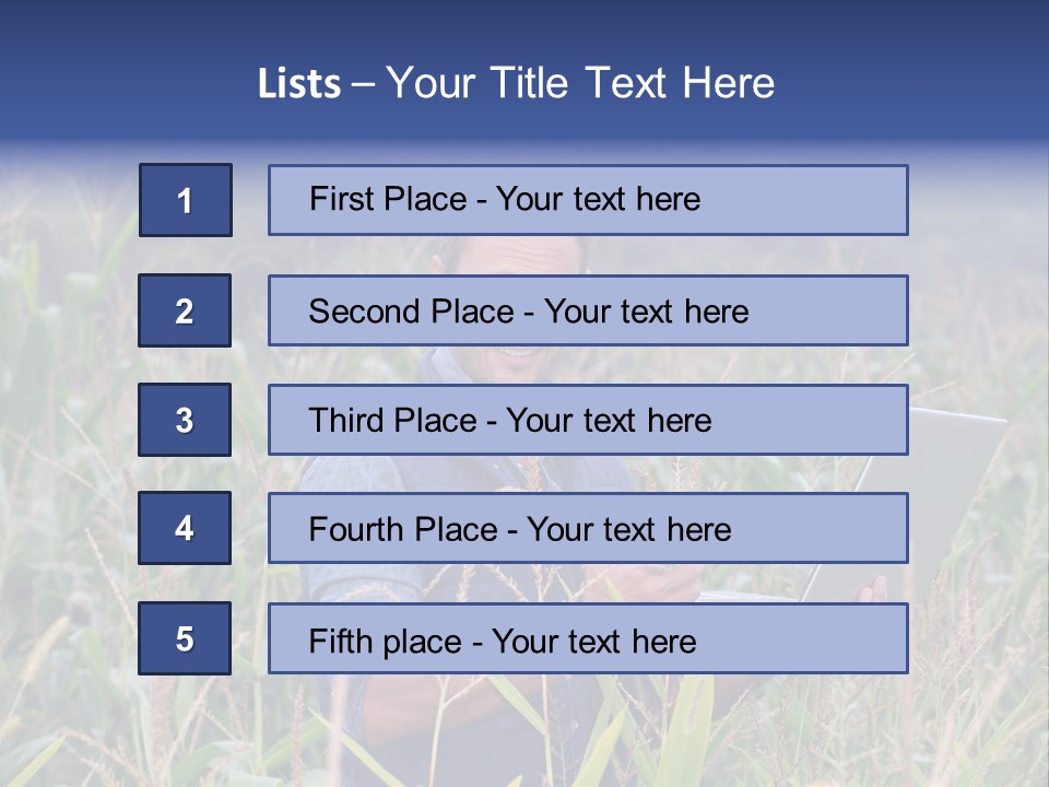 Fly Housefly Illustration PowerPoint Template