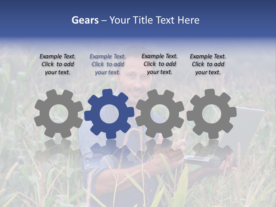 Fly Housefly Illustration PowerPoint Template