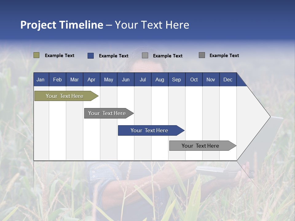 Fly Housefly Illustration PowerPoint Template