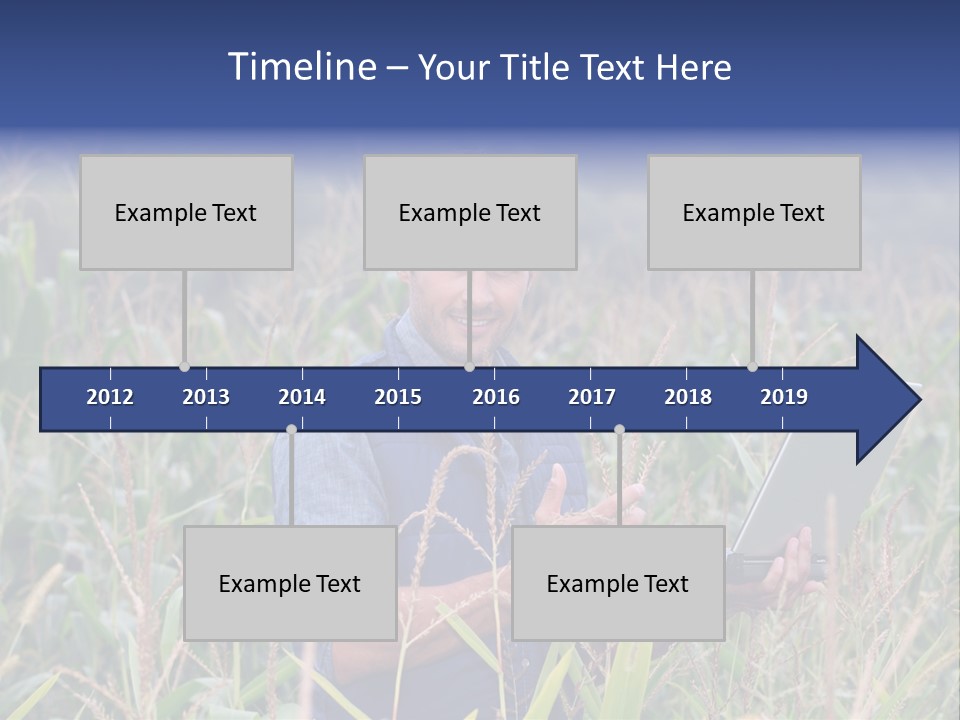 Fly Housefly Illustration PowerPoint Template