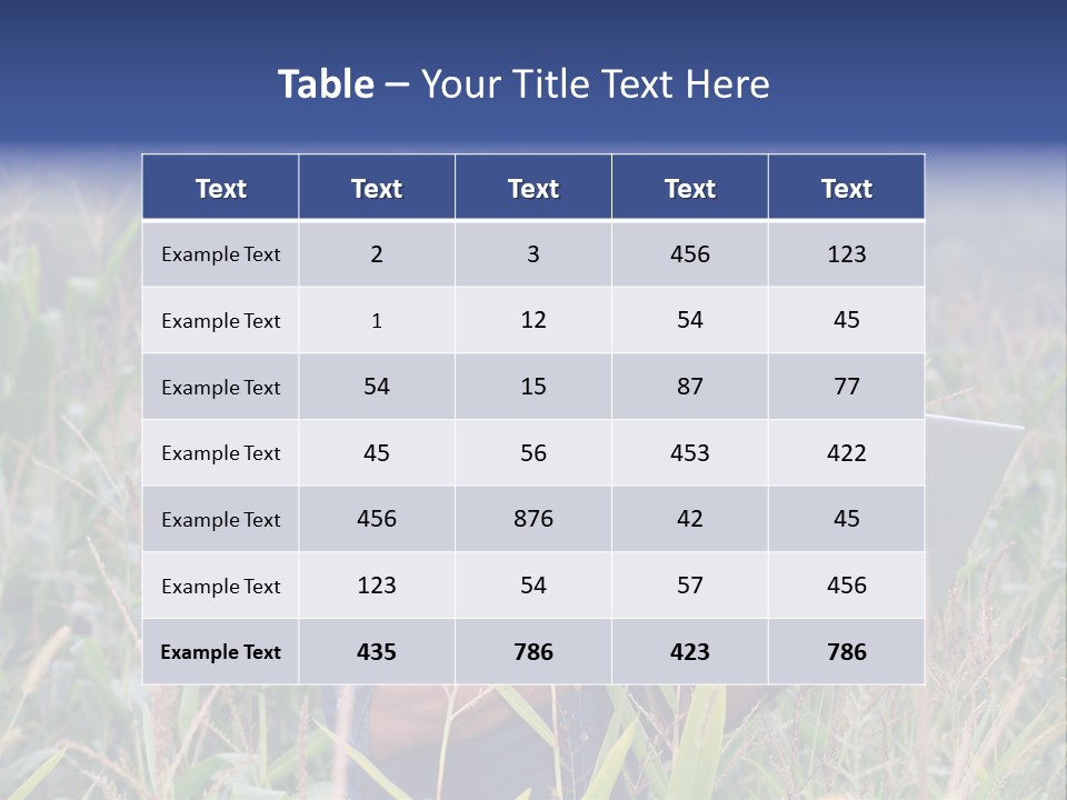Fly Housefly Illustration PowerPoint Template