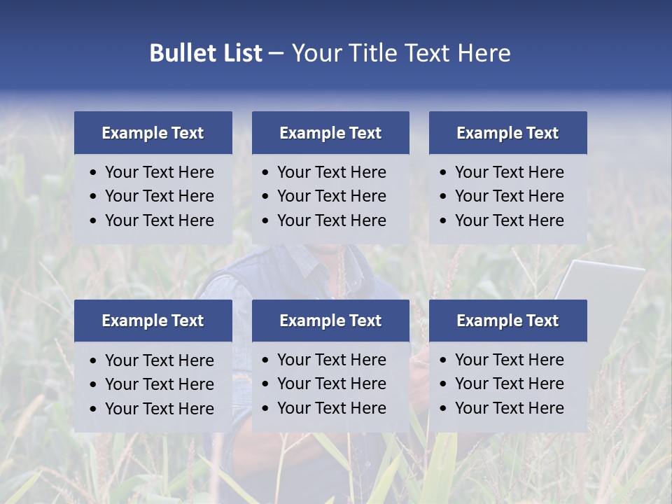Fly Housefly Illustration PowerPoint Template