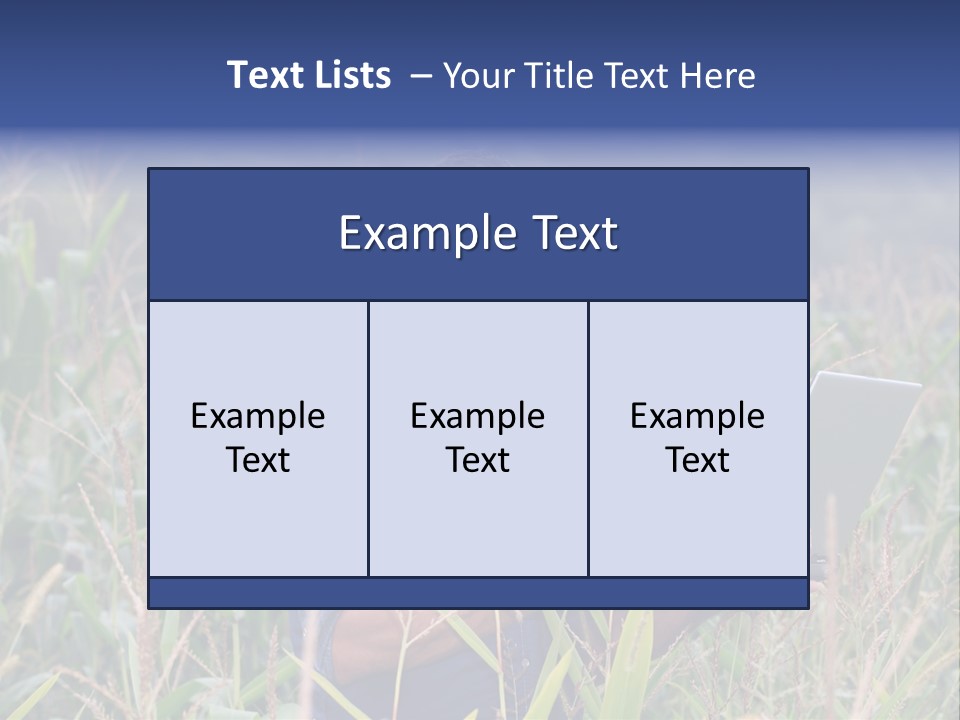Fly Housefly Illustration PowerPoint Template