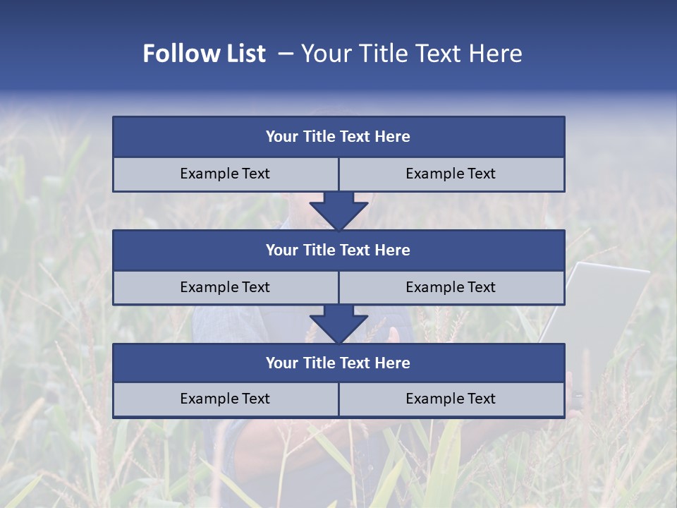 Fly Housefly Illustration PowerPoint Template