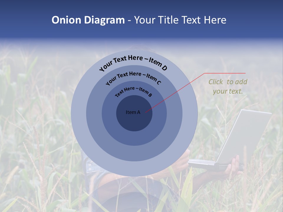 Fly Housefly Illustration PowerPoint Template