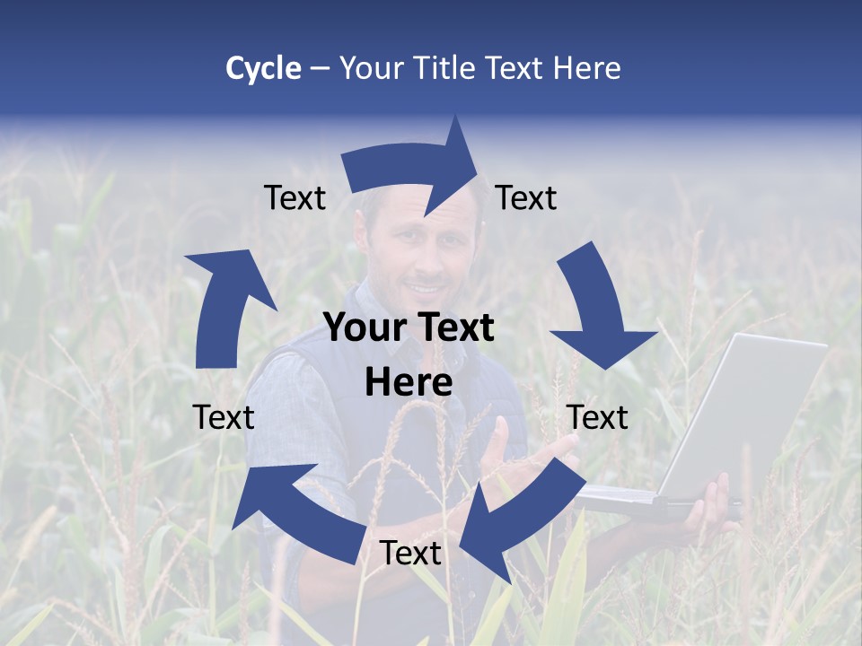 Fly Housefly Illustration PowerPoint Template
