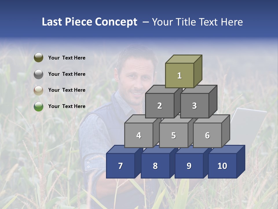 Fly Housefly Illustration PowerPoint Template
