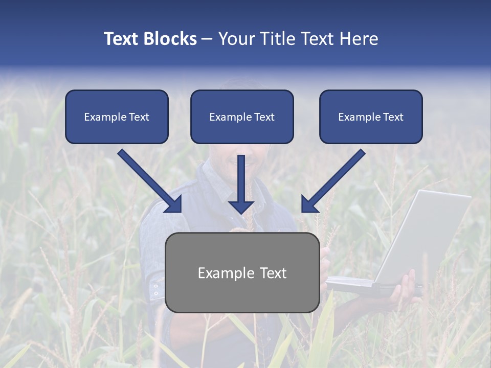 Fly Housefly Illustration PowerPoint Template