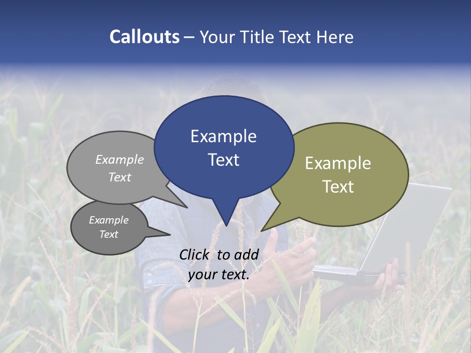 Fly Housefly Illustration PowerPoint Template