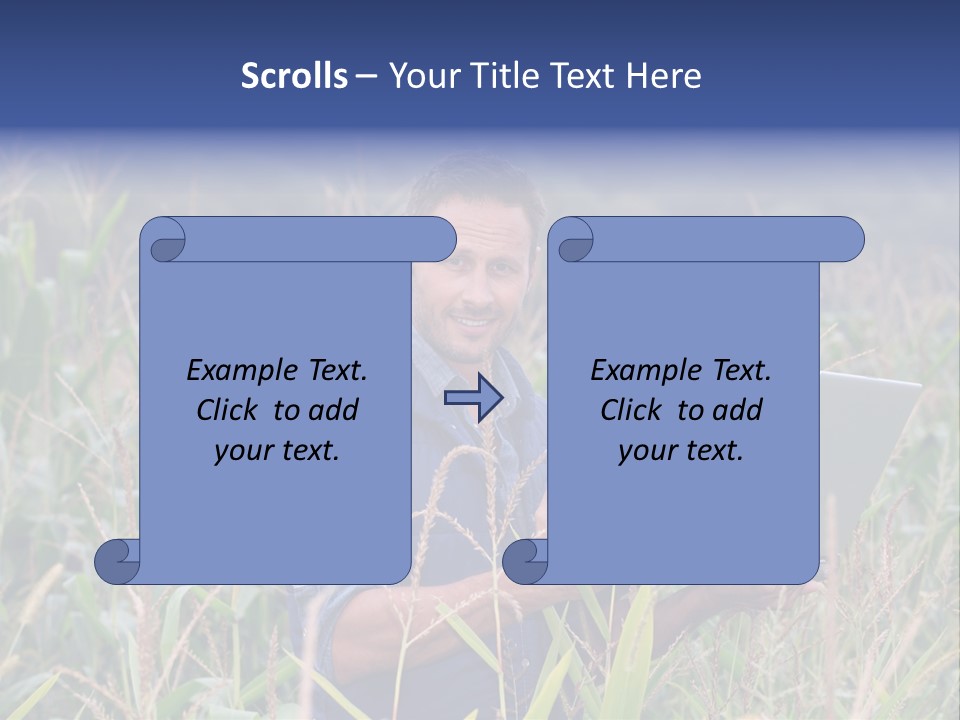 Fly Housefly Illustration PowerPoint Template