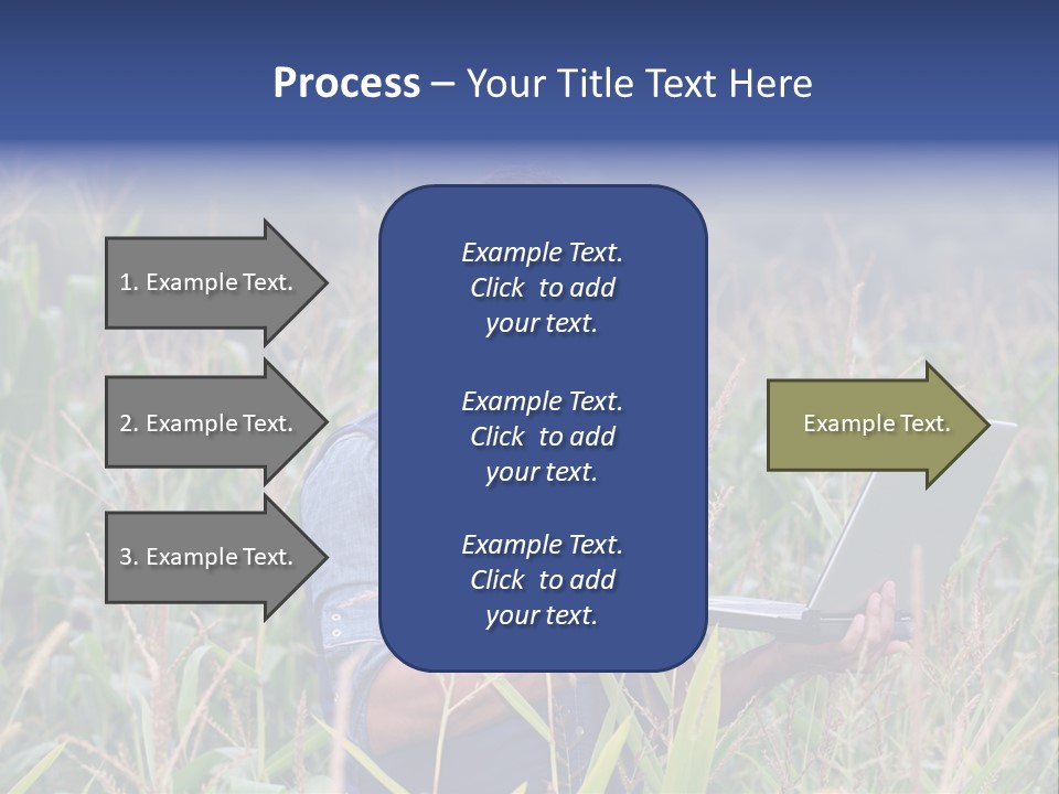 Fly Housefly Illustration PowerPoint Template