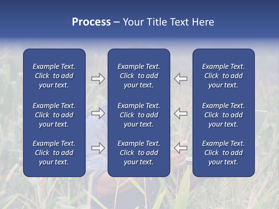 Fly Housefly Illustration PowerPoint Template
