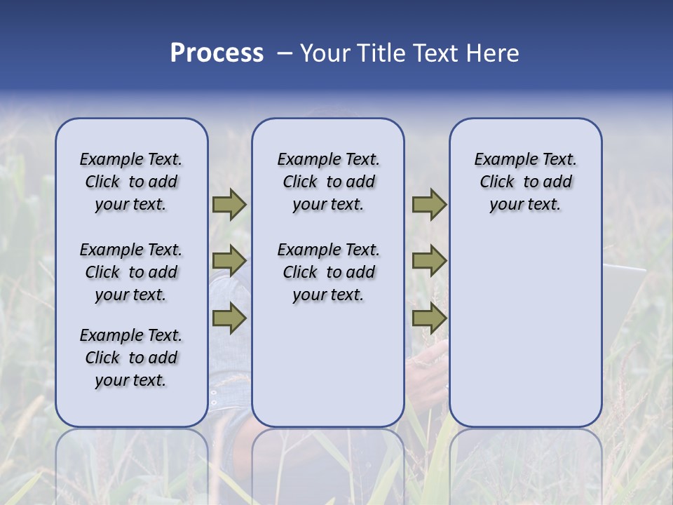 Fly Housefly Illustration PowerPoint Template