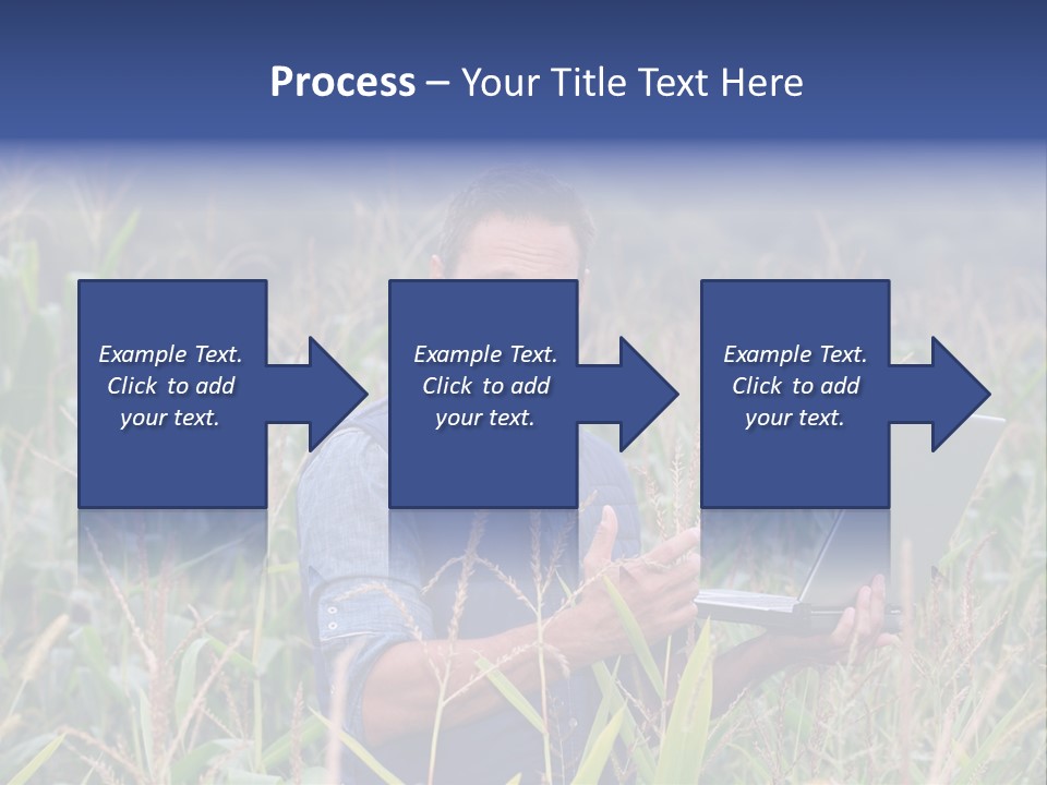 Fly Housefly Illustration PowerPoint Template