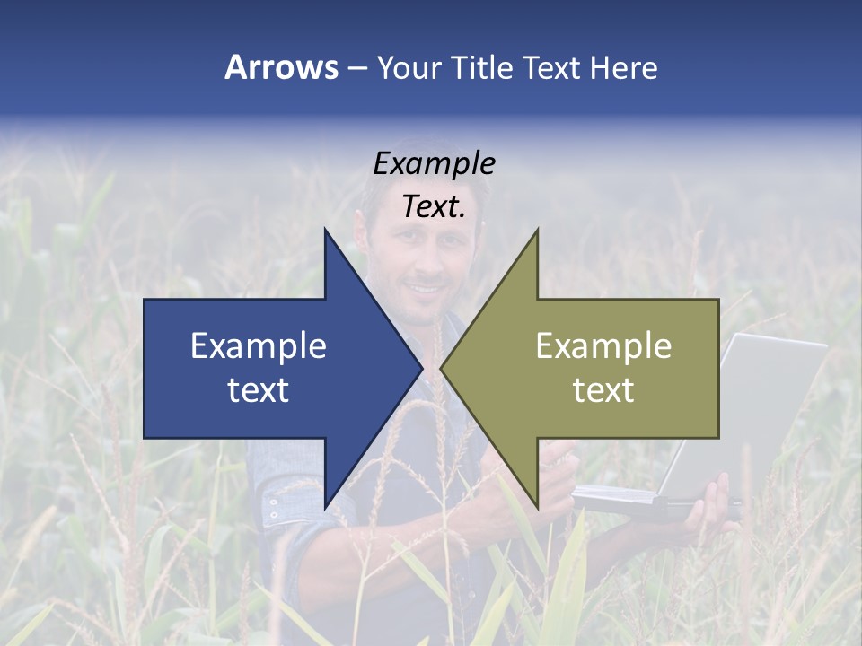 Fly Housefly Illustration PowerPoint Template