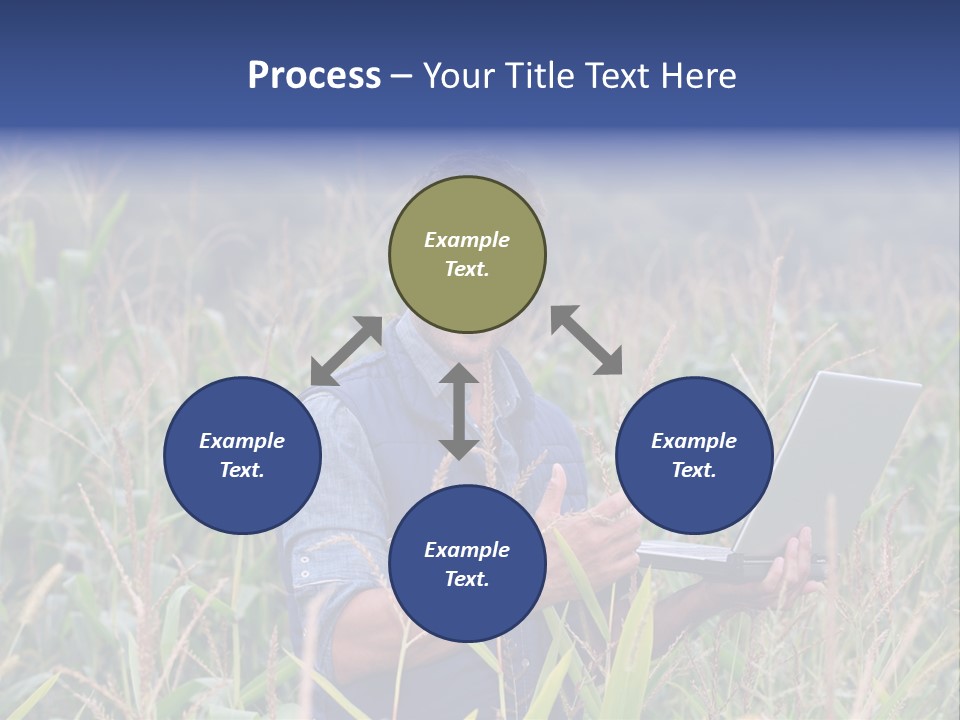 Fly Housefly Illustration PowerPoint Template