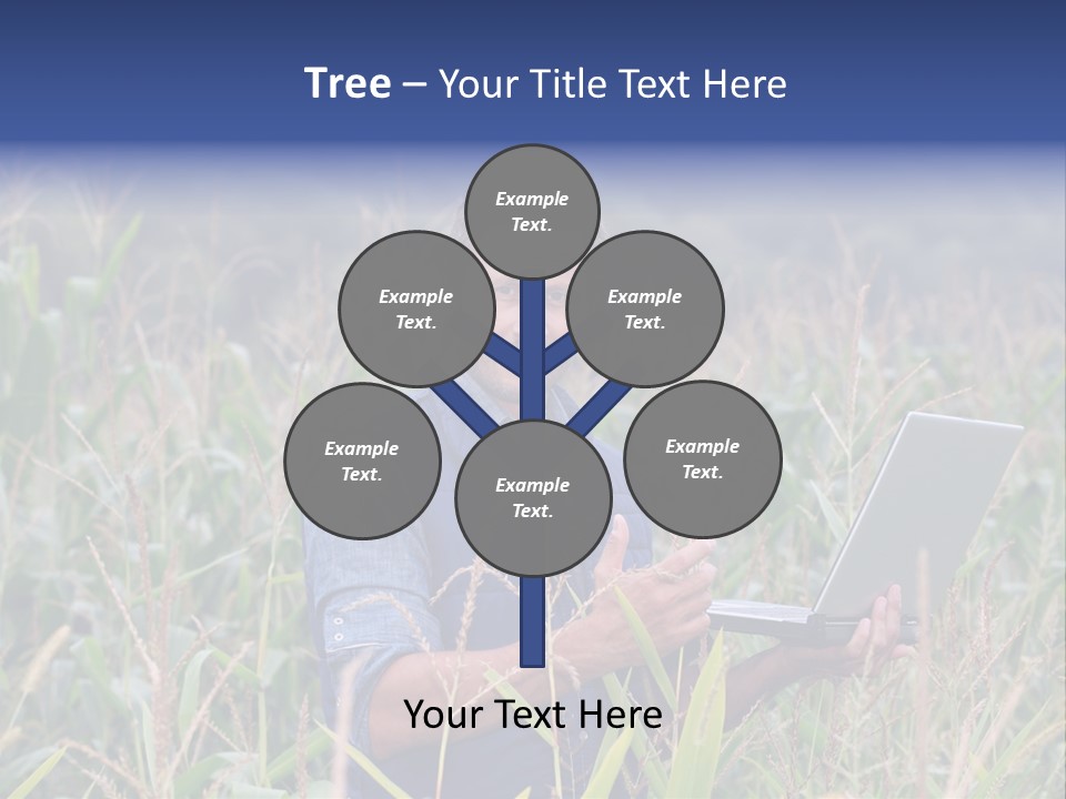 Fly Housefly Illustration PowerPoint Template