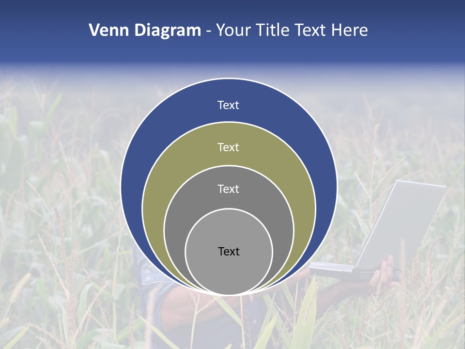 Fly Housefly Illustration PowerPoint Template