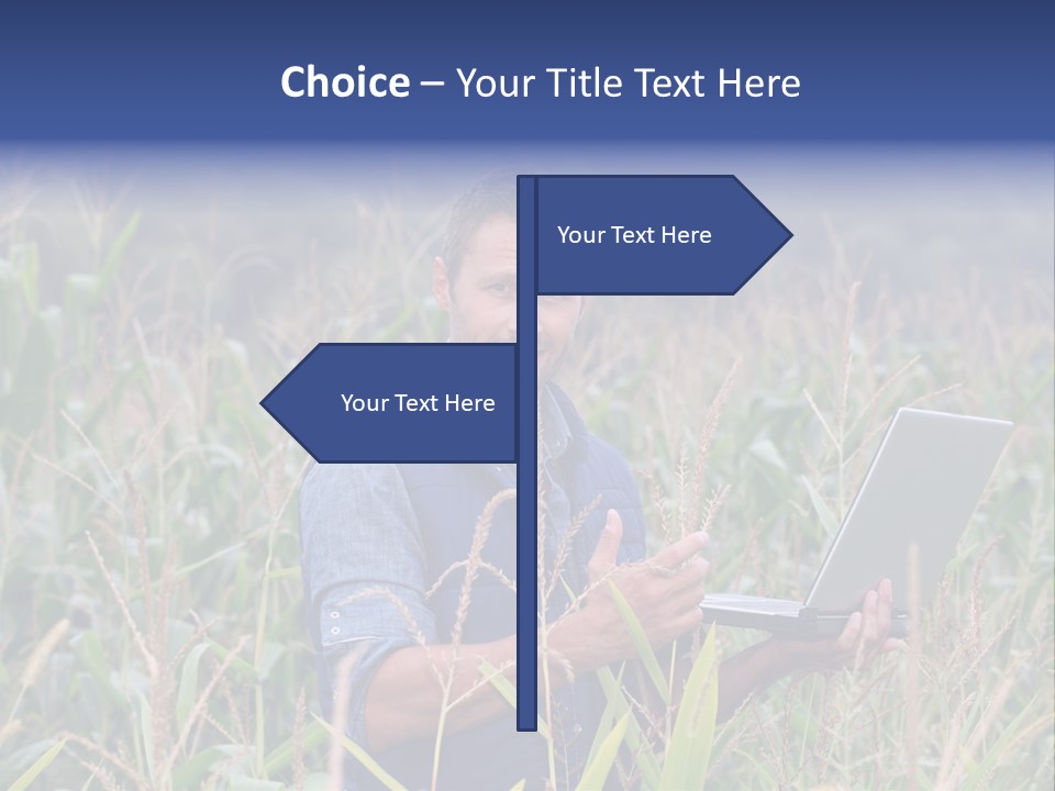 Fly Housefly Illustration PowerPoint Template