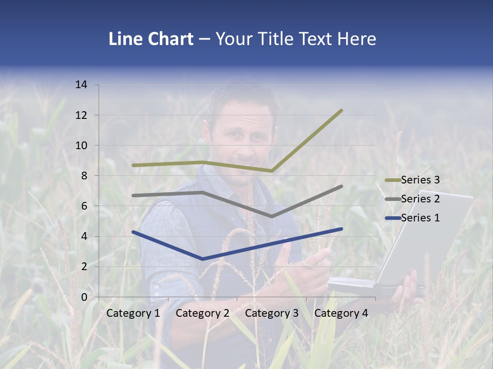 Fly Housefly Illustration PowerPoint Template