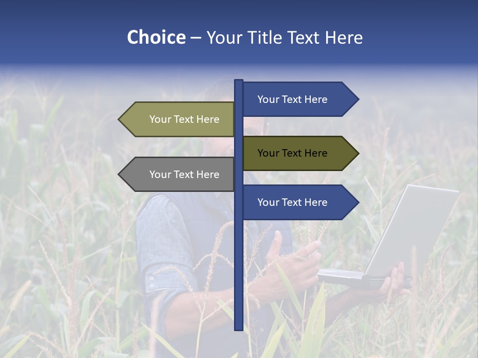 Fly Housefly Illustration PowerPoint Template