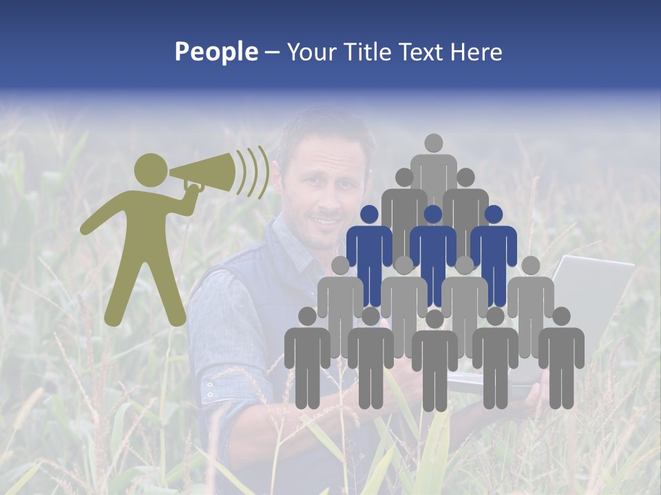 Fly Housefly Illustration PowerPoint Template