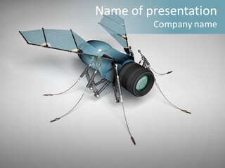 Fly Housefly Illustration PowerPoint Template
