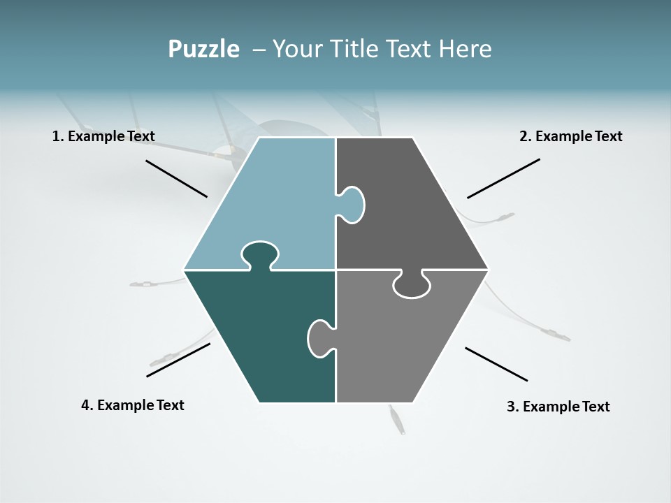 Fly Housefly Illustration PowerPoint Template