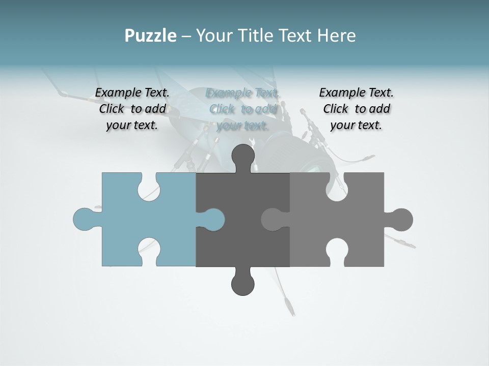 Fly Housefly Illustration PowerPoint Template