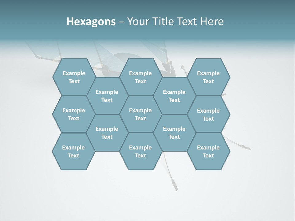 Fly Housefly Illustration PowerPoint Template