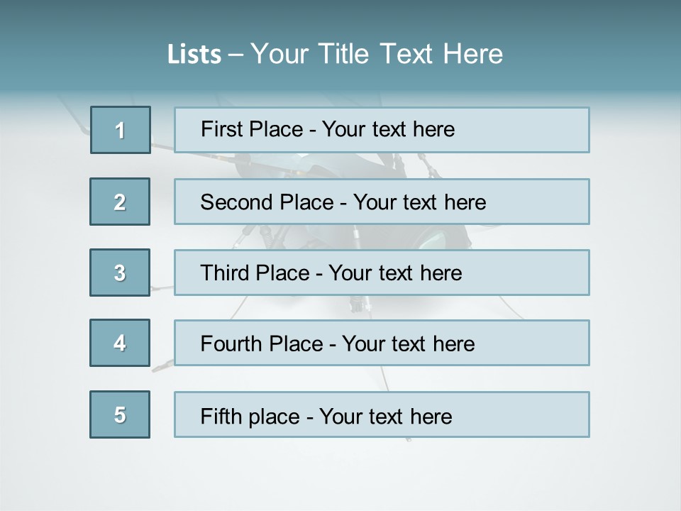 Fly Housefly Illustration PowerPoint Template