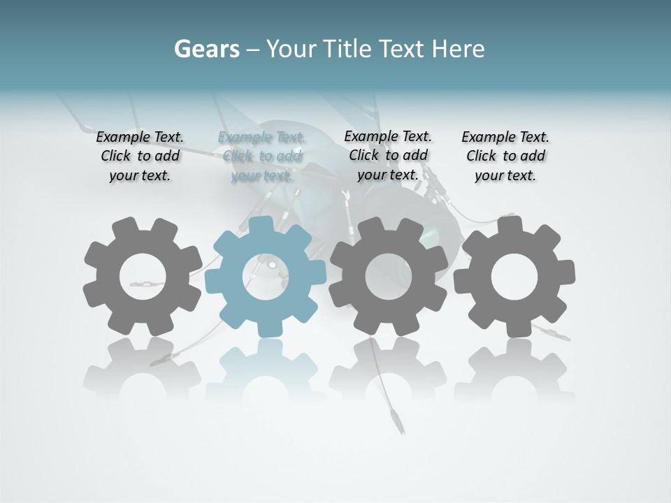 Fly Housefly Illustration PowerPoint Template