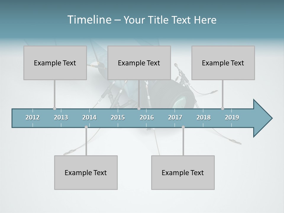 Fly Housefly Illustration PowerPoint Template
