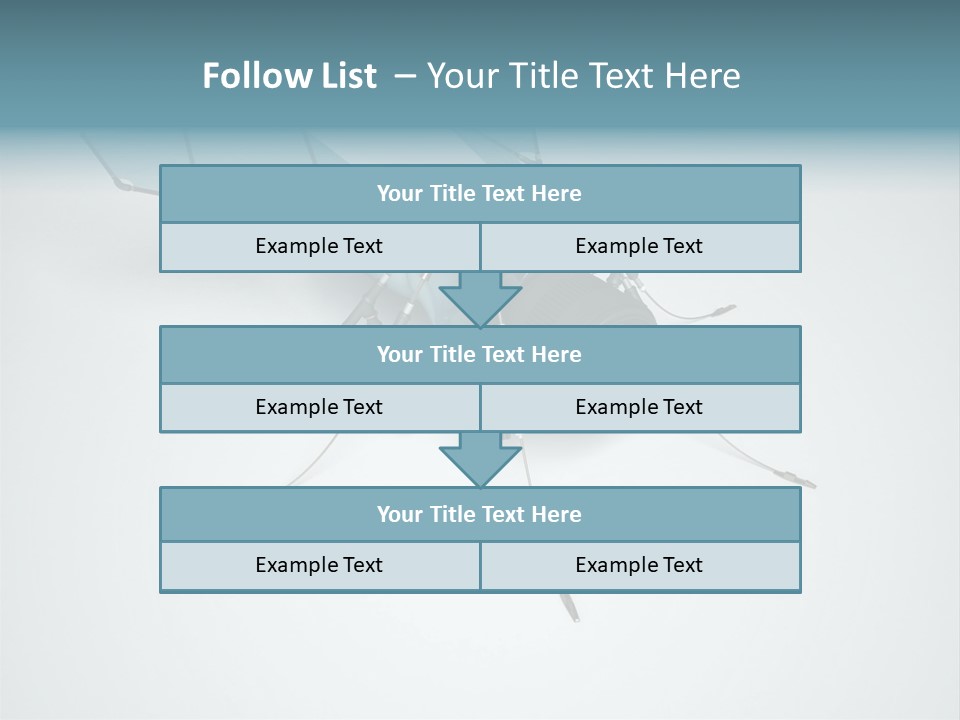 Fly Housefly Illustration PowerPoint Template
