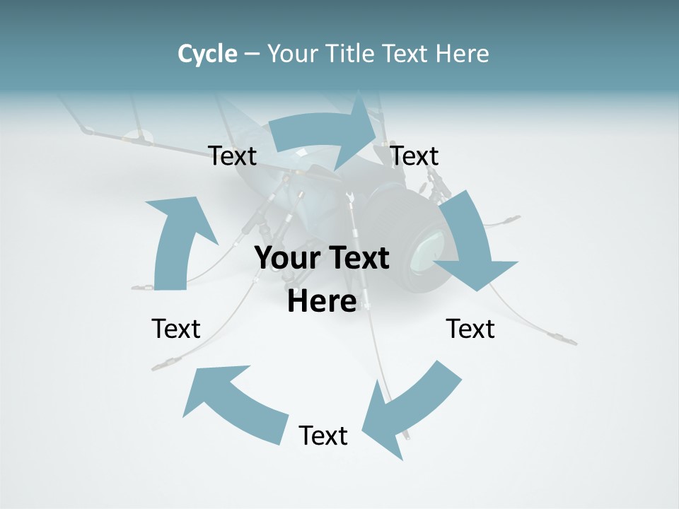Fly Housefly Illustration PowerPoint Template