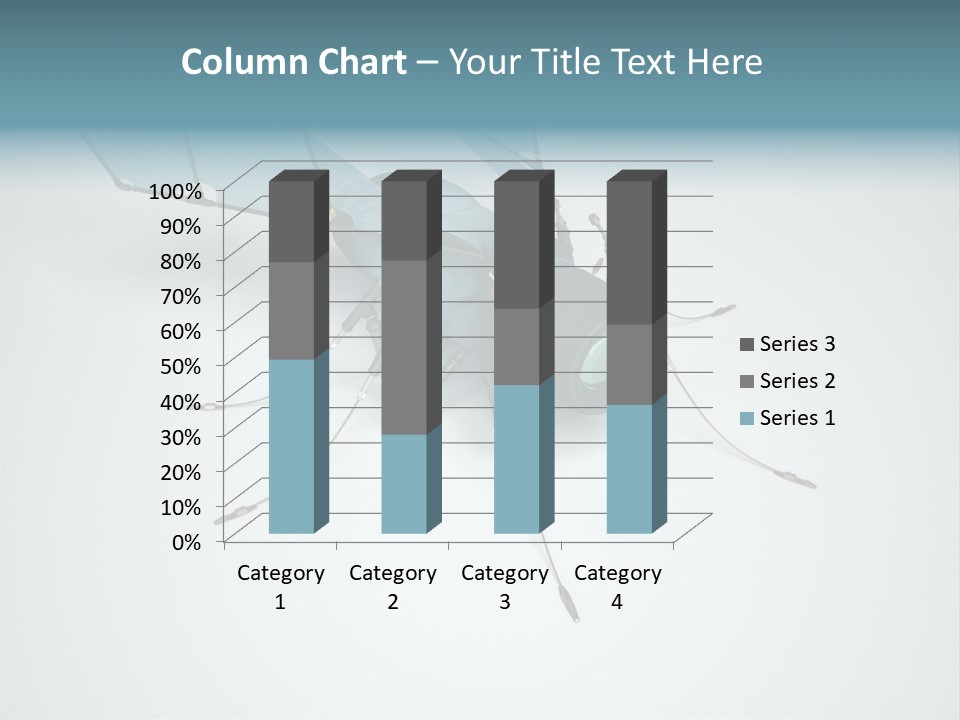 Fly Housefly Illustration PowerPoint Template