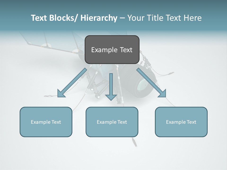 Fly Housefly Illustration PowerPoint Template
