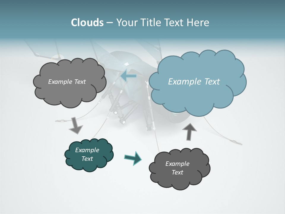 Fly Housefly Illustration PowerPoint Template