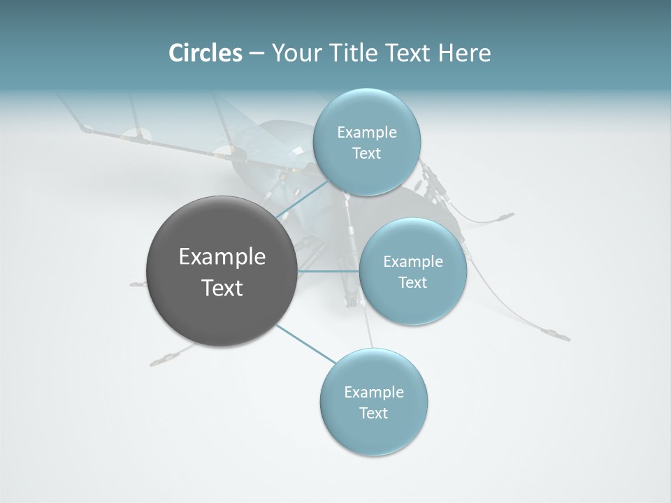 Fly Housefly Illustration PowerPoint Template