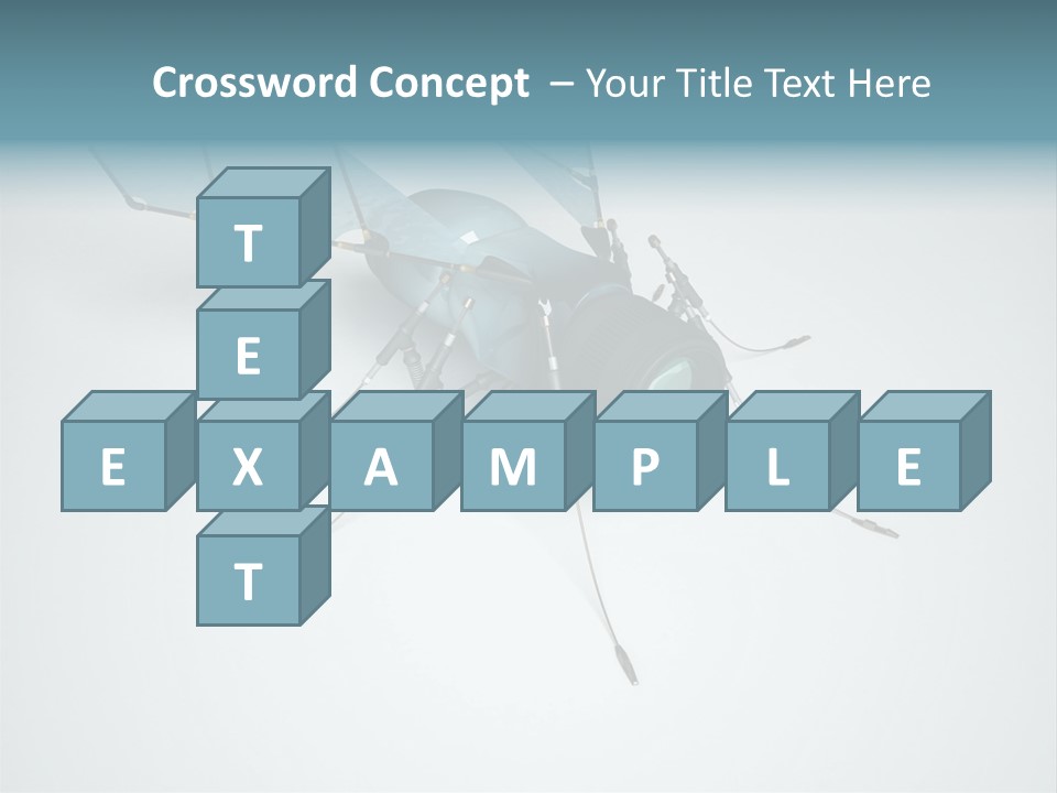 Fly Housefly Illustration PowerPoint Template