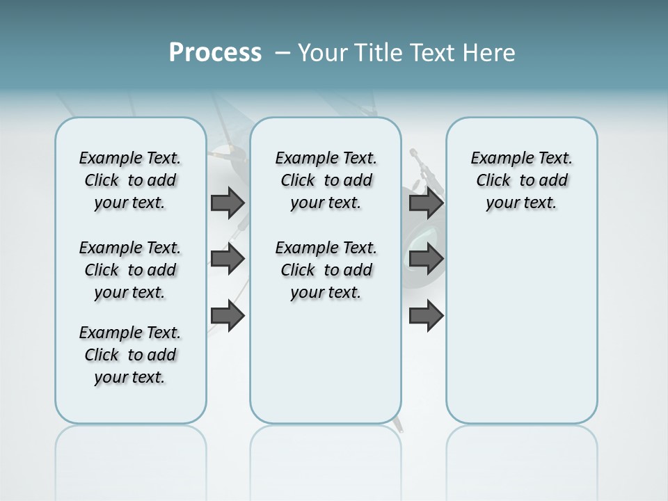 Fly Housefly Illustration PowerPoint Template
