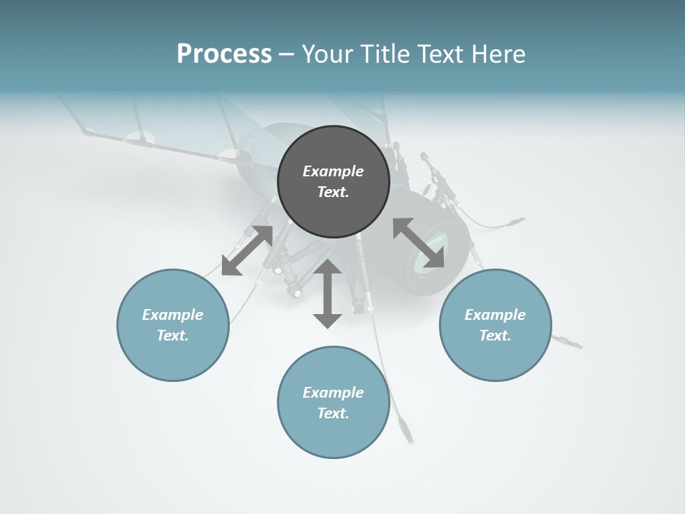 Fly Housefly Illustration PowerPoint Template