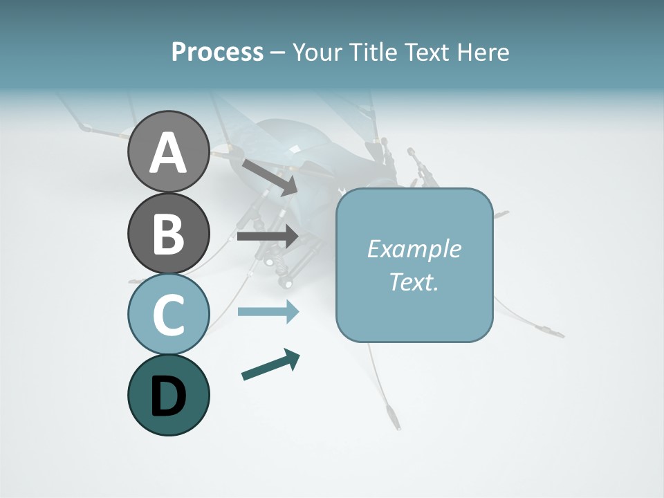 Fly Housefly Illustration PowerPoint Template