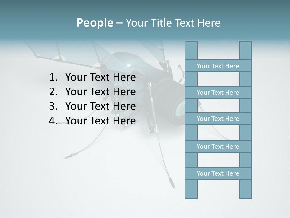 Fly Housefly Illustration PowerPoint Template